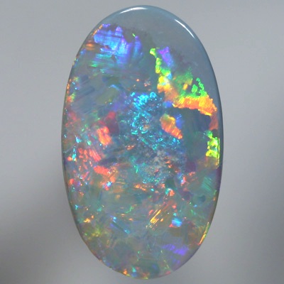 SOLID SEMI BLACK OPAL Bright and pretty Floral / Chaff pattern